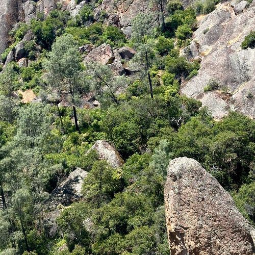 Condor Gulch Overloook