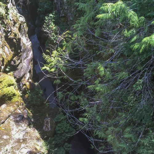 Box Canyon