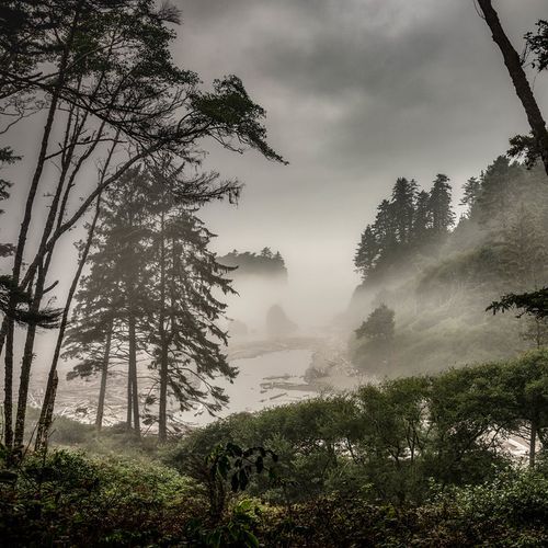 Kalaloch & Ruby Beach