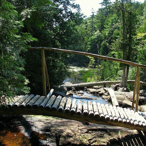 Hadlock Loop
