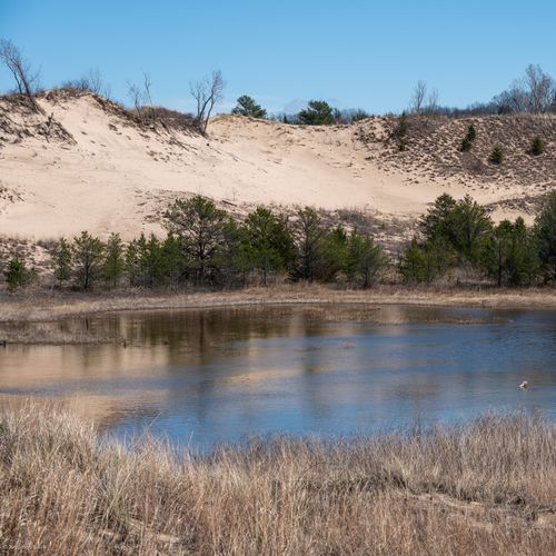 Tolleston Dunes Outlook