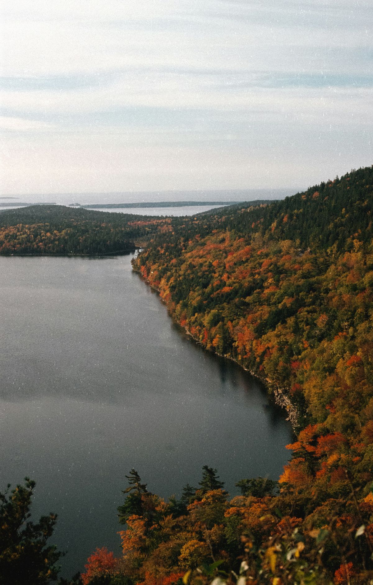 Acadia - Gallery thumbnail 4