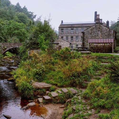 Johnson Mill