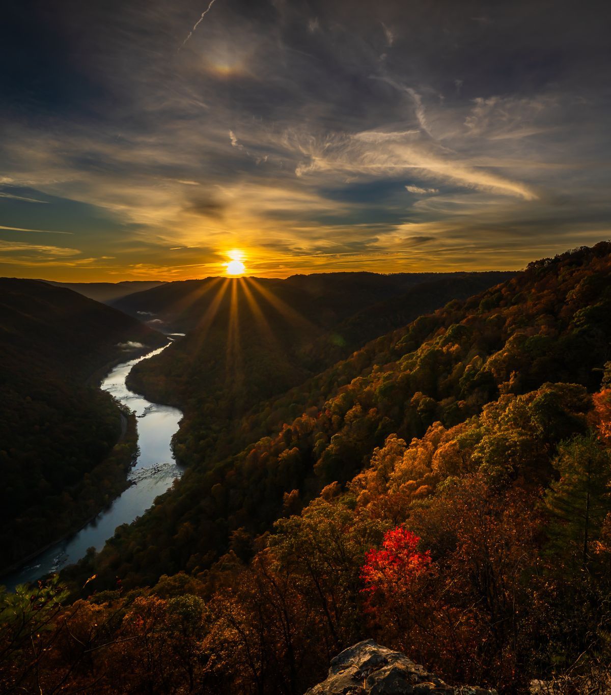 1,300 Plant Species and 65 Mammals in the Gorge, New River Gorge National Park & Preserve