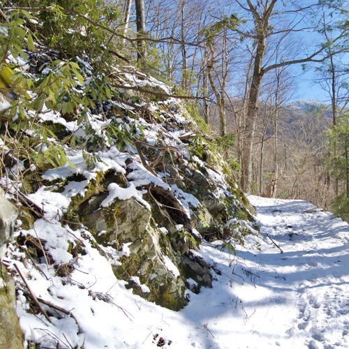 Low Gap Trail