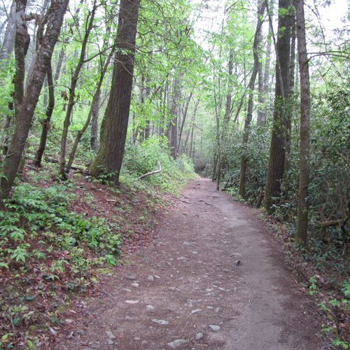 Cooper Road Trail
