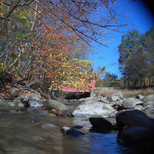 Furnace Run Trail