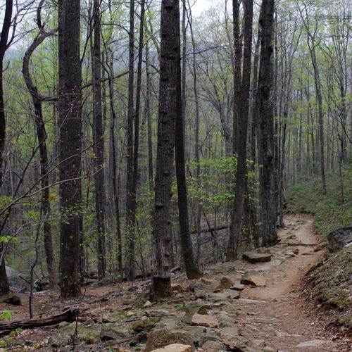Harris Hollow Trail