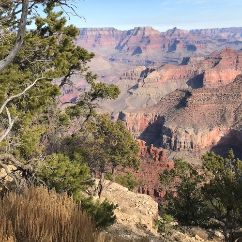 Trail To Colorado River Overlook