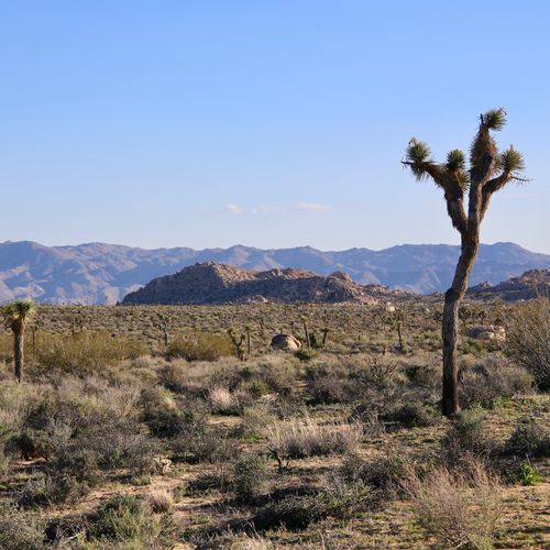 Berdoo / Thermal Canyon Trail