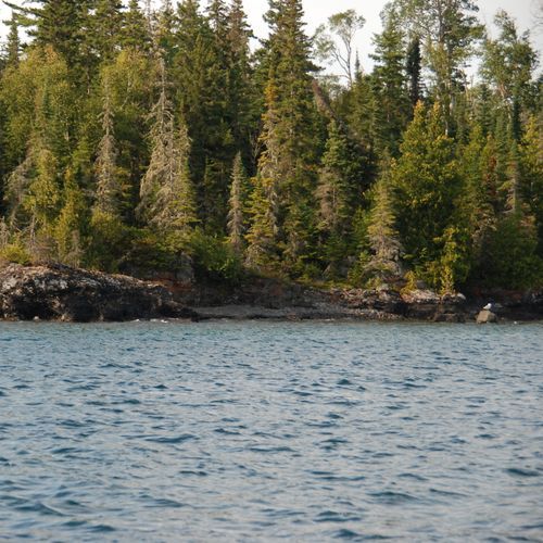 Feldtmann Lake Trail