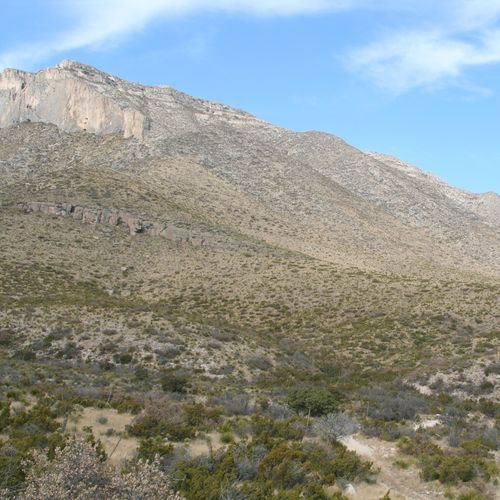 Permian Reef Trail