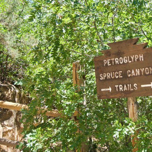 Spruce Canyon Trail