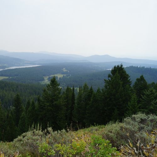 Viewpoint