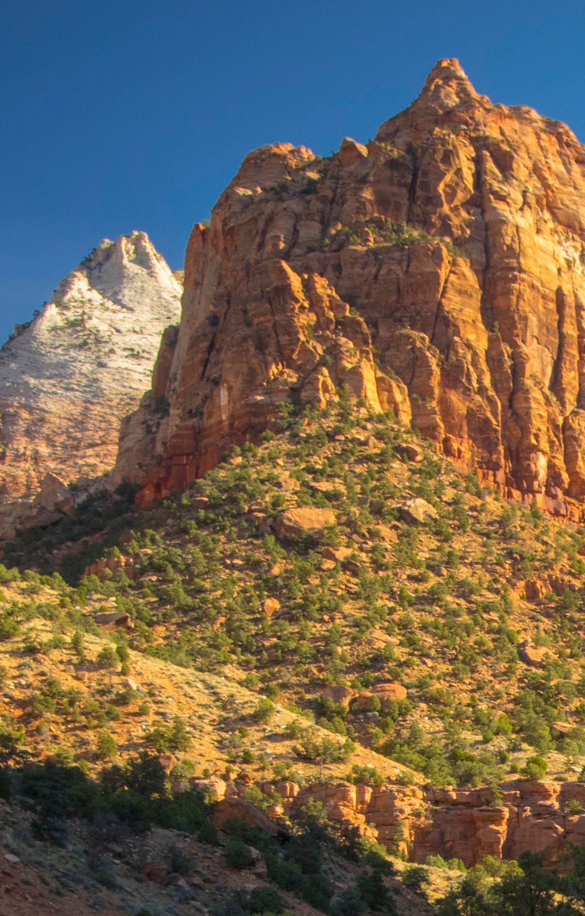 Pa'rus Trail, Zion National Park