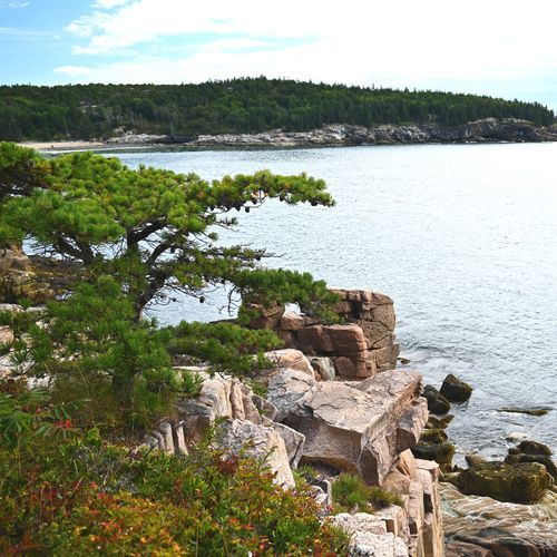Viewpoint