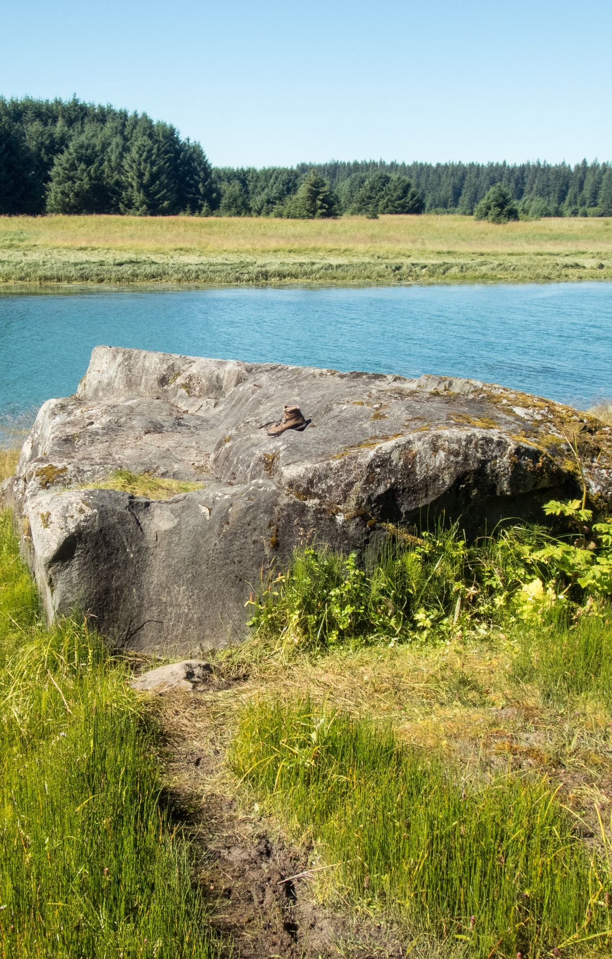 Hiking the Bartlett Cove Trail Network, Glacier Bay National Park & Preserve