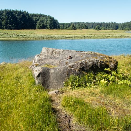 Bartlett River Trail