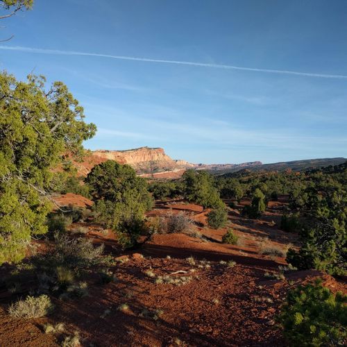 Viewpoint
