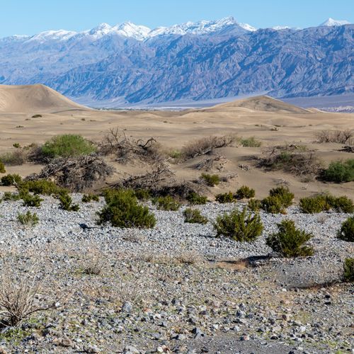 Mesquite Flat Sand Dunes