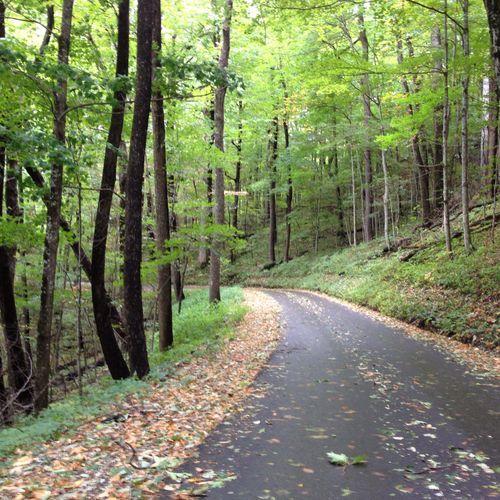 Baskins Creek Trail