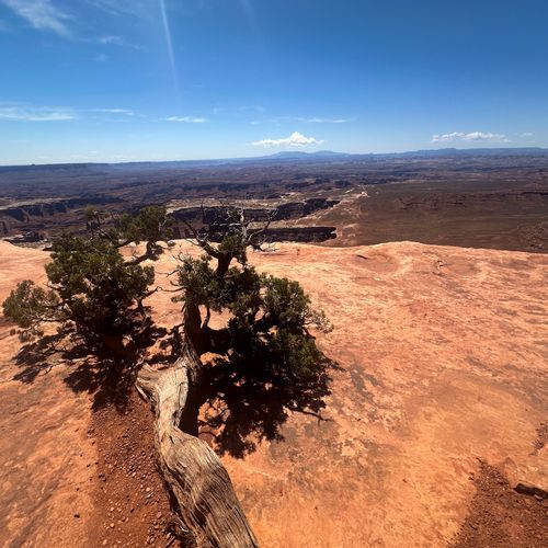 Grand View Point