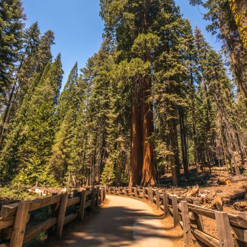 Congress Trail