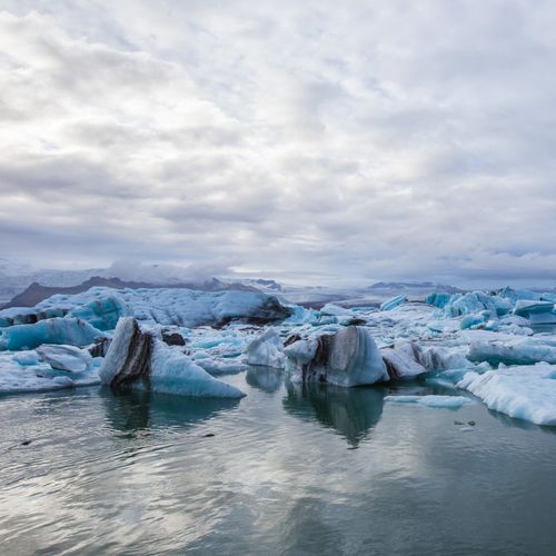 Glaciar Bay