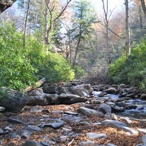 Little River Trail