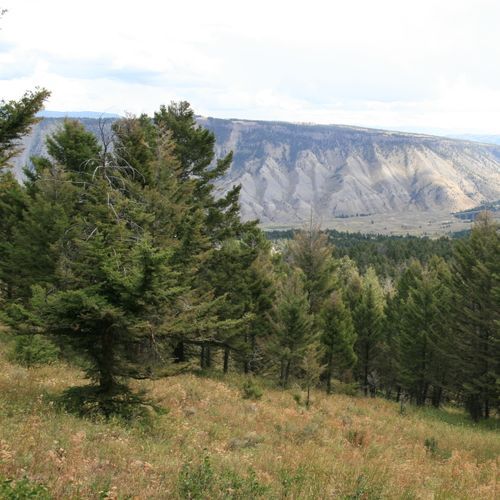 Lava Creek Trail