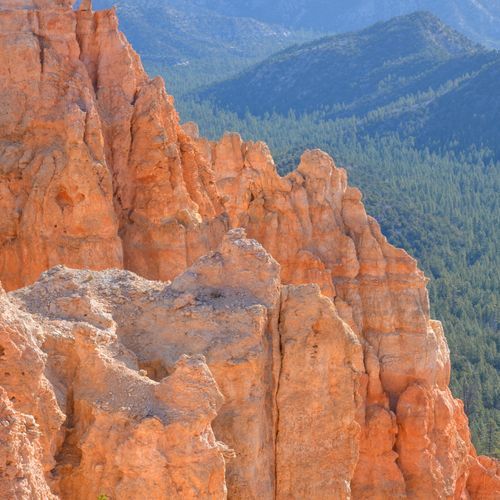 Black Birch Canyon Overlook
