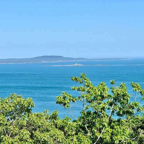 Viewpoint