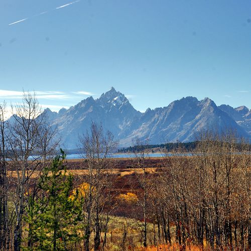 Viewpoint