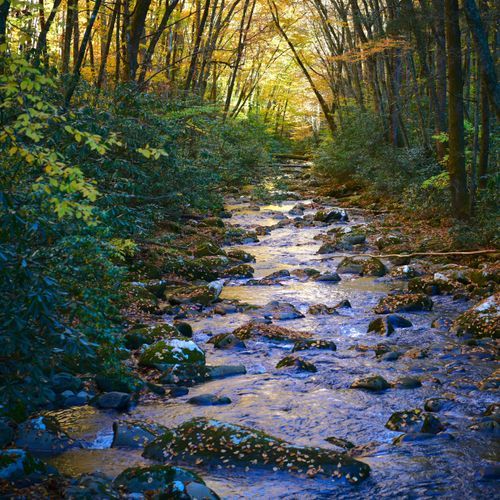 Gregory Ridge Trail