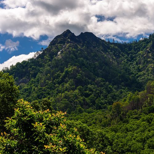 Chimney Tops Trail