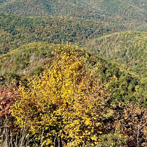 Rocky Top Overlook