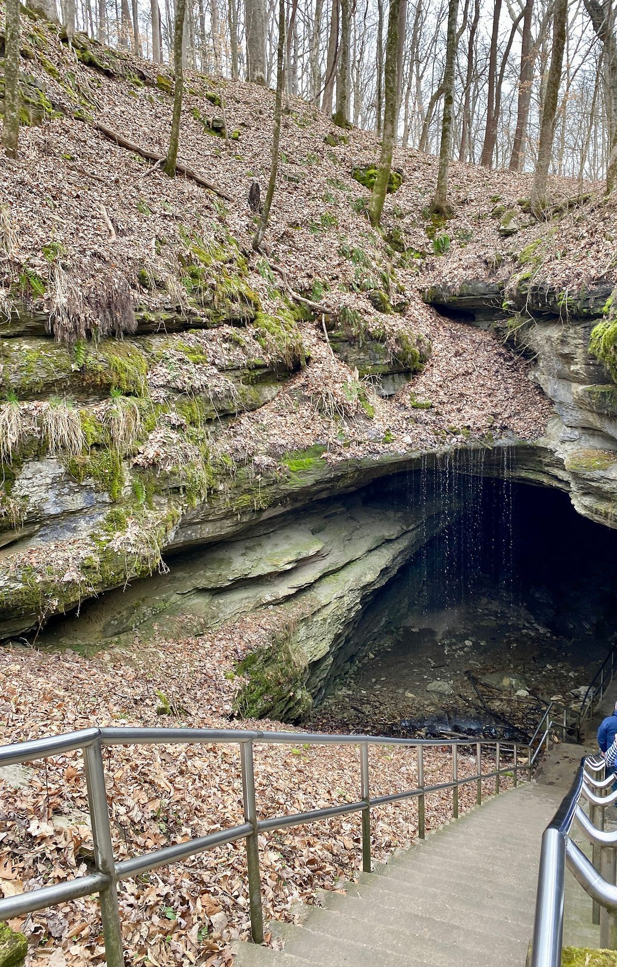 Summer or Winter: Touring a 54°F Cave, Mammoth Cave National Park