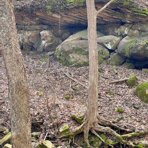 Mammoth Cave Rail-Trail