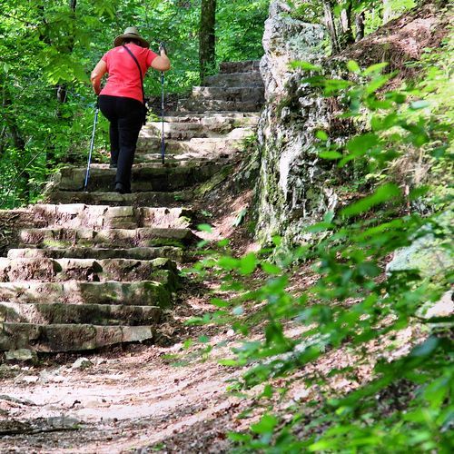 Gulpha Gorge Trail