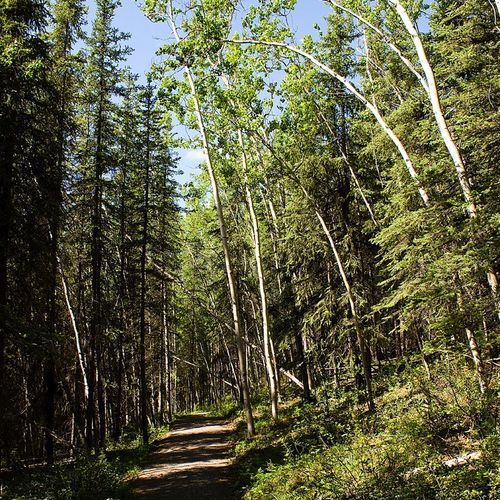 Roadside Trail