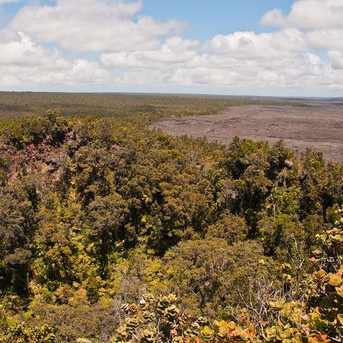 Puʻu Huluhulu Trail