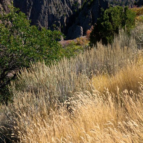 Rim Rock Nature Trail