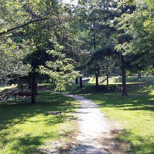 Whittington Trail