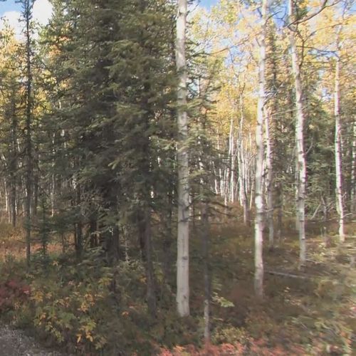 Rock Creek Trail