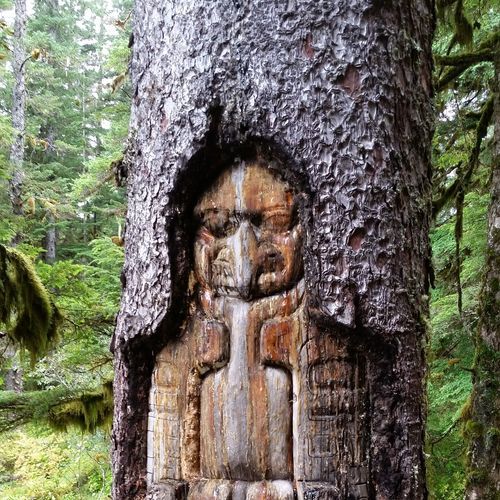 Tlingit Trail