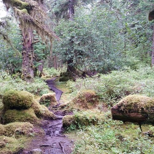 Bartlett Lake Trail