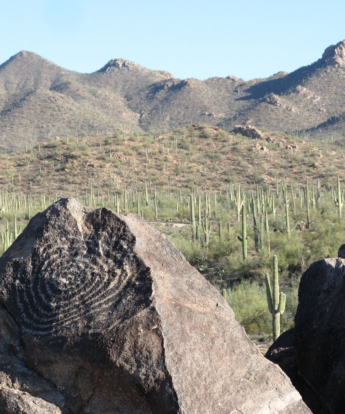 Hohokam Petroglyphs and Tohono O'odham Heritage, Saguaro National Park