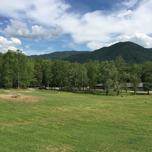 Cades Cove Group Campground