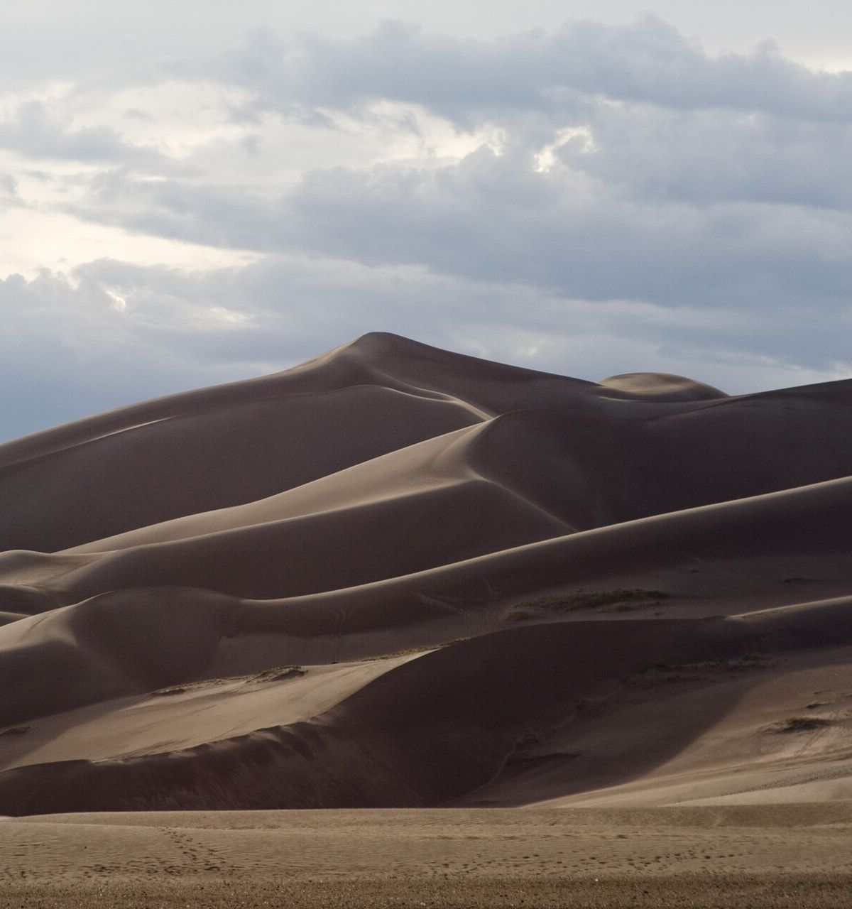 Camping at Piñon Flats and on the Dunes, Great Sand Dunes National Park & Preserve
