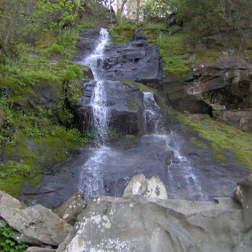 Gabes Mountain Trail to Hen Wallow Falls